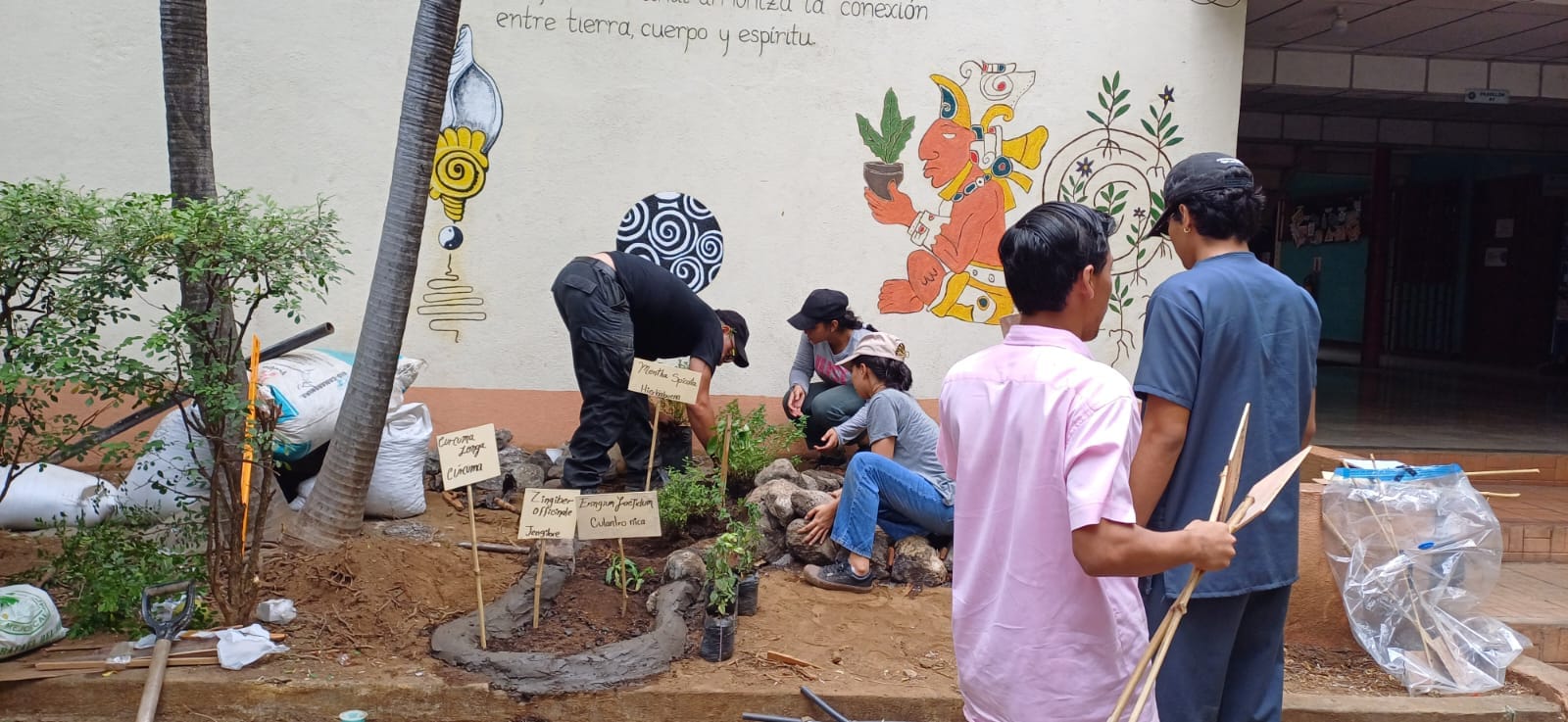 WhatsApp Image 2025-07-15 at 12.16.07 PM (4)