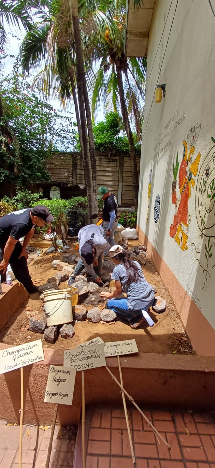 WhatsApp Image 2025-07-15 at 12.16.07 PM (5)