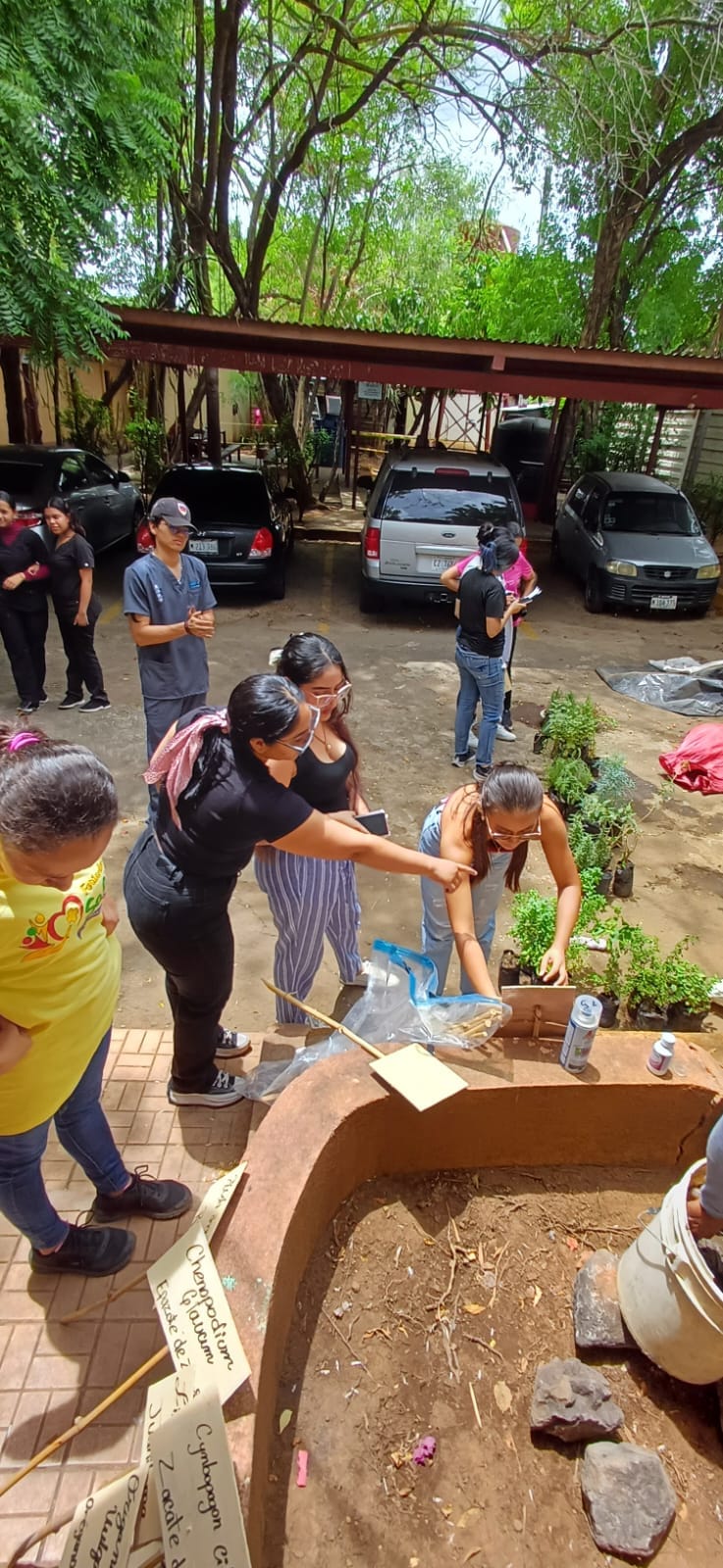 WhatsApp Image 2025-07-15 at 12.16.08 PM