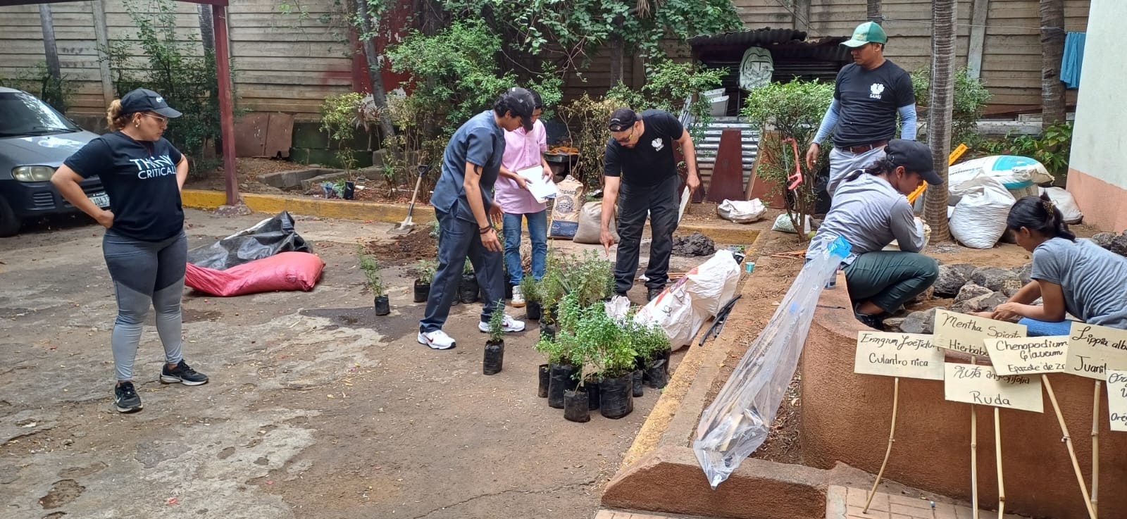 WhatsApp Image 2025-07-15 at 12.16.09 PM