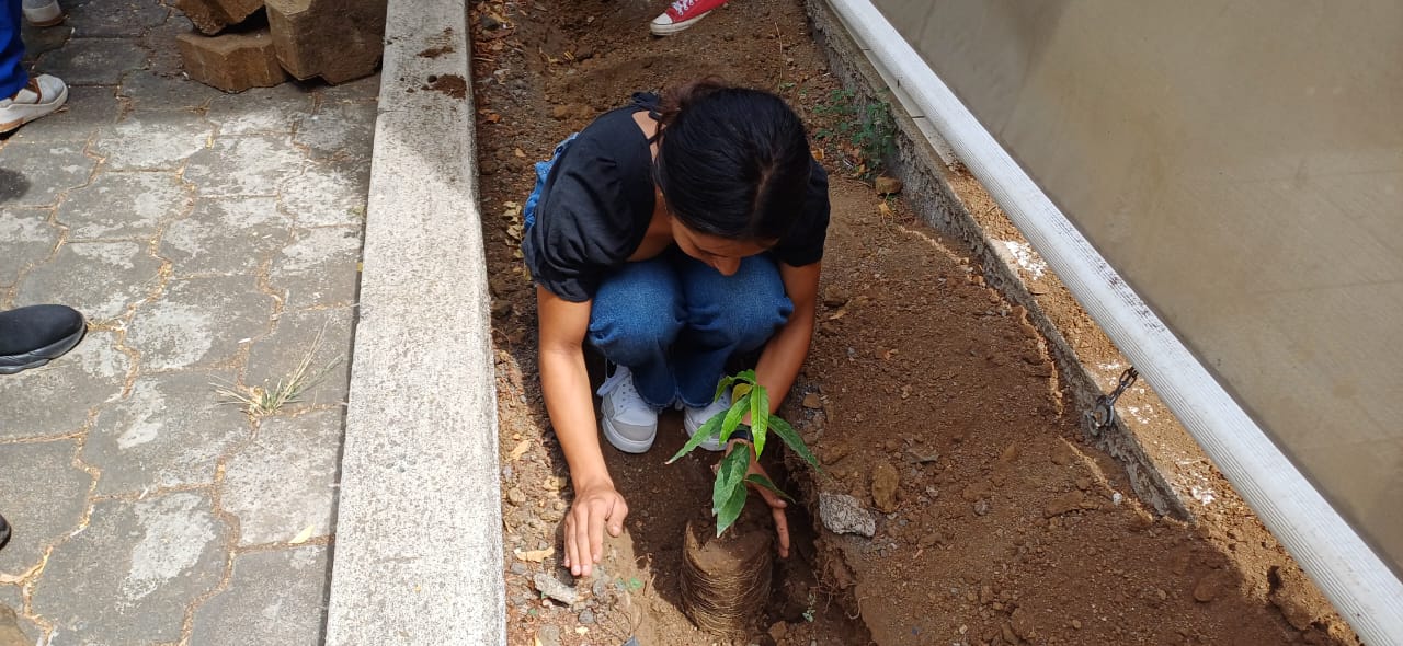 WhatsApp Image 2025-07-15 at 12.16.10 PM (1)